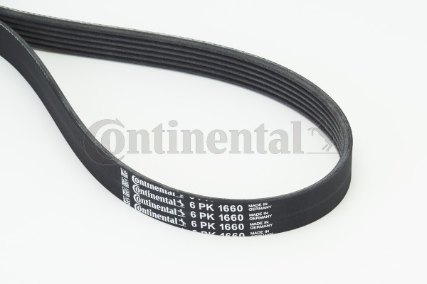 Picture of CONTINENTAL CTAM - 6PK1660 - V-Ribbed Belts (Belt Drive)