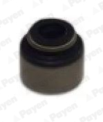 PAYEN - PA425 - Zaptivni prsten, telo ventila (Glava cilindra)
