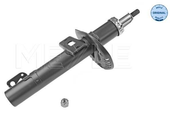 Picture of Shock Absorber - MEYLE - 126 623 0004