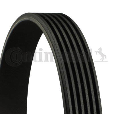 Picture of CONTINENTAL CTAM - 6PK1538 - V-Ribbed Belts (Belt Drive)