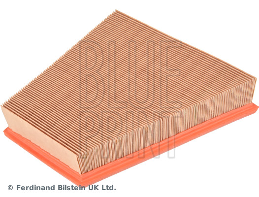 Picture of BLUE PRINT - ADV182207 - Air Filter (Air Supply)