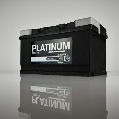Picture of PLATINUM - 110E - Starter Battery (Starter System)