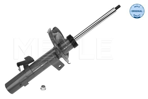 Picture of Shock Absorber - MEYLE - 726 623 0014