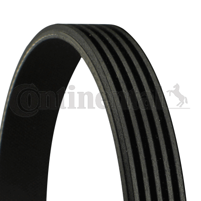 Picture of CONTINENTAL CTAM - 5PK1546 - V-Ribbed Belts (Belt Drive)