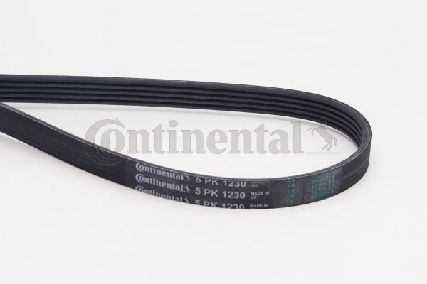 Picture of CONTINENTAL CTAM - 5PK1230 - V-Ribbed Belt (Belt Drive)