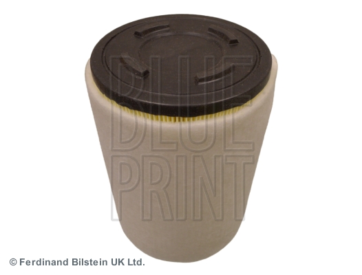 Picture of BLUE PRINT - ADL142219 - Air Filter (Air Supply)