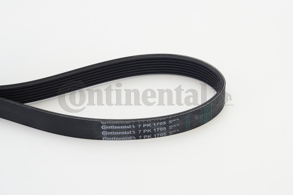 Picture of CONTINENTAL CTAM - 7PK1705 - V-Ribbed Belts (Belt Drive)