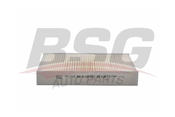 BSG - BSG 30-145-002 - Filter, vazduh unutrašnjeg prostora (Grejanje/ventilacija)