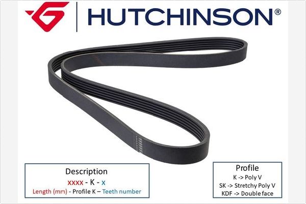 Picture of HUTCHINSON - 1705 K 7 - V-Ribbed Belt (Belt Drive)