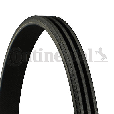 Picture of CONTINENTAL CTAM - 3PK890 - V-Ribbed Belts (Belt Drive)