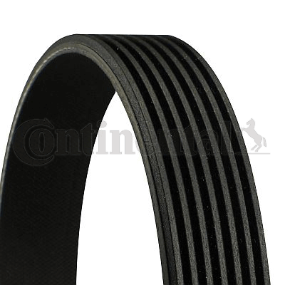 Picture of CONTINENTAL CTAM - 7PK2061 - V-Ribbed Belts (Belt Drive)