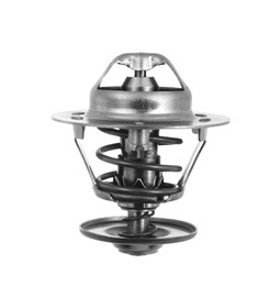 Picture of ECHLIN - 1981 - Thermostat, coolant