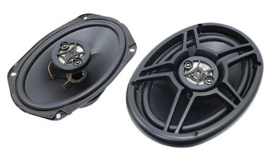 Picture of Speaker