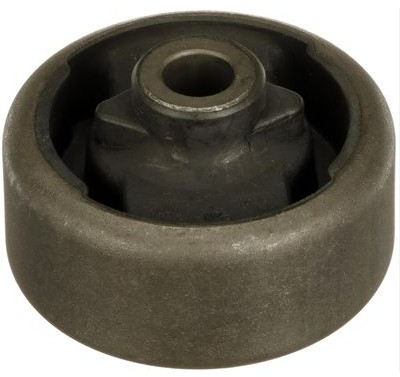 Picture of Bush - FEMO - SSPAR7411