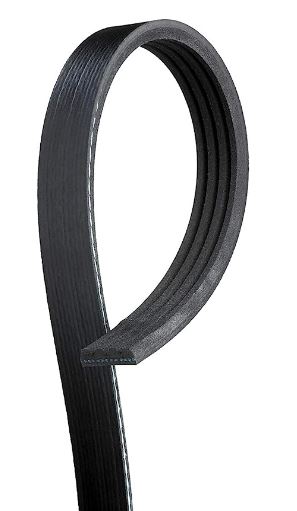 Picture of V-Ribbed Belt - ROADMAX - 613K4