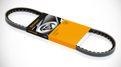 Picture of RAM - P273