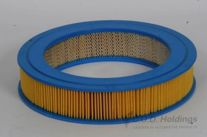 Picture of Air Filter - GUD - AG447