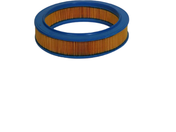 Picture of CHAMPION - CAF100120R - Air Filter