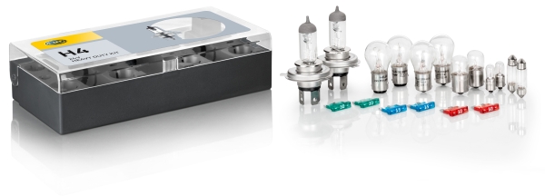 Asortiman, žarulje - HELLA - 8GJ 002 525-941