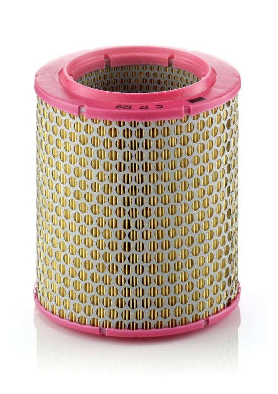 Picture of MANN-FILTER - C 17 129 - Air Filter (Air Supply)