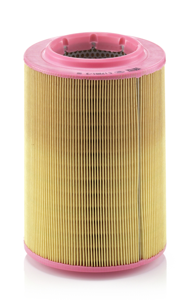 Picture of MANN-FILTER - C 17 201/3 - Air Filter (Air Supply)
