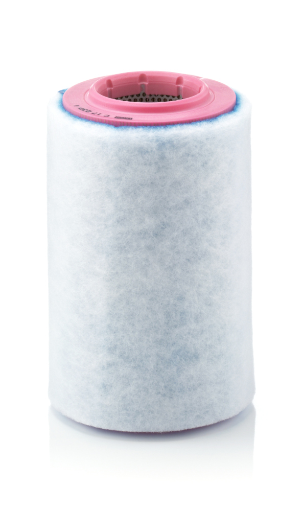 Picture of MANN-FILTER - C 17 237/1 - Air Filter (Air Supply)