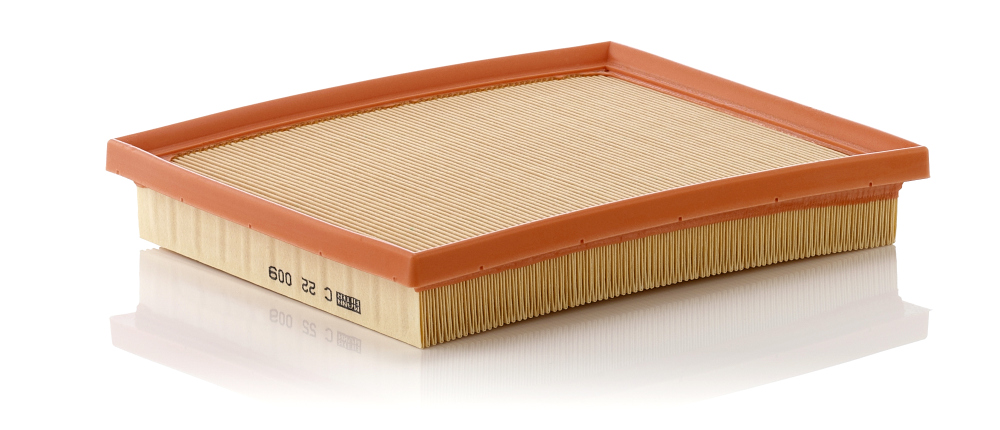 Picture of MANN-FILTER - C 22 009 - Air Filter (Air Supply)