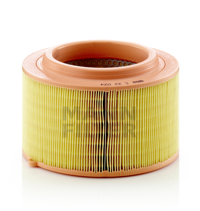 Picture of MANN-FILTER - C 22 024 - Air Filter (Air Supply)