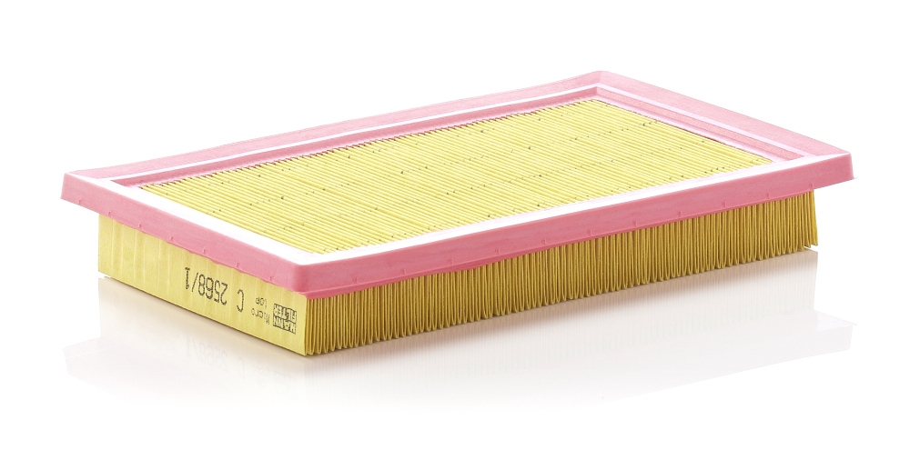 Picture of Air Filter - MANN-FILTER - C 2568/1