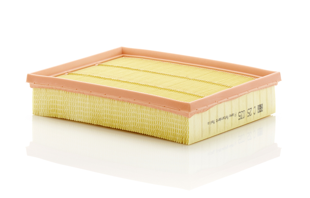 Picture of MANN-FILTER - C 25 035 - Air Filter (Air Supply)