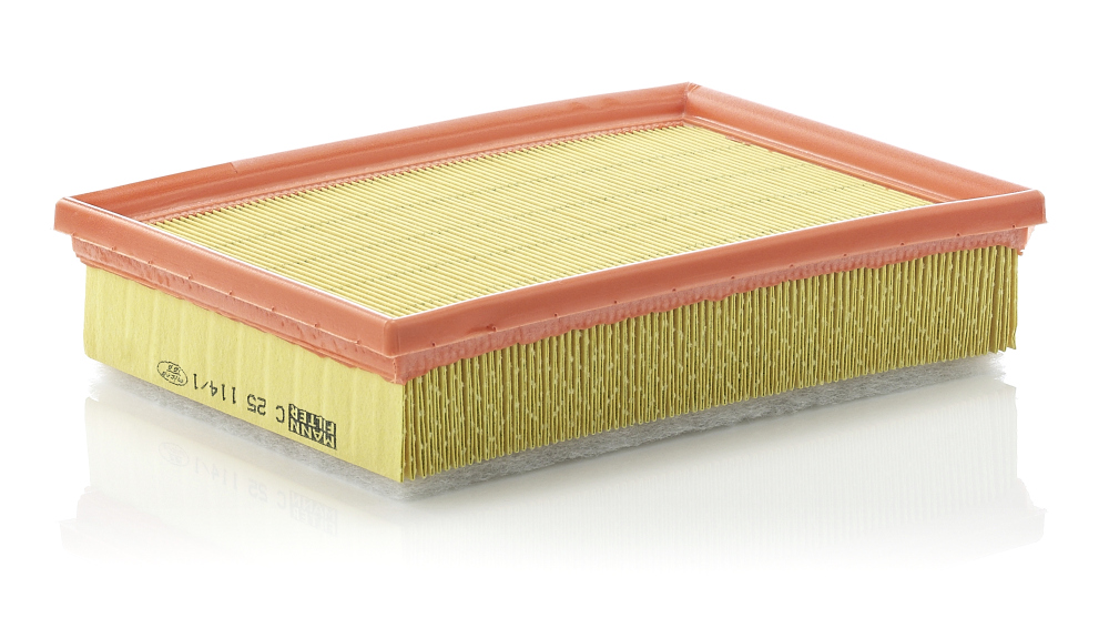 MANN-FILTER - C 25 114/1 - Filter za vazduh (Sistem za dovod vazduha)