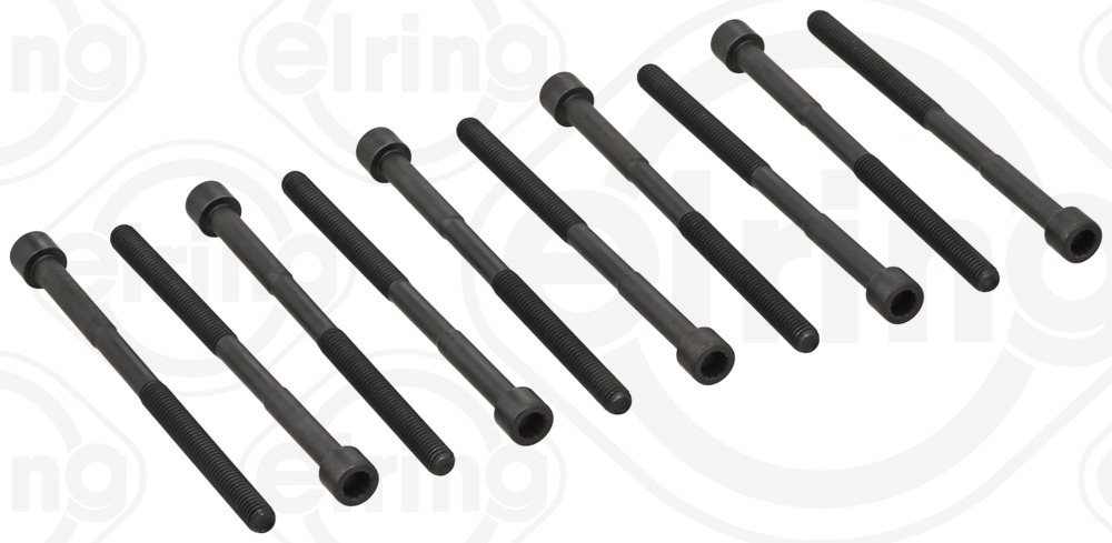 Picture of Cylinder Head Bolt Set - ELRING - 290.390