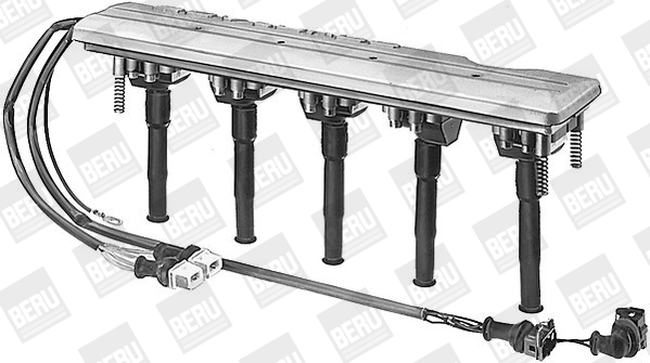 Picture of Ignition Coil - BorgWarner (BERU) - AZS002