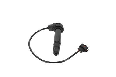 Picture of Ignition Coil - BorgWarner (BERU) - ZS378