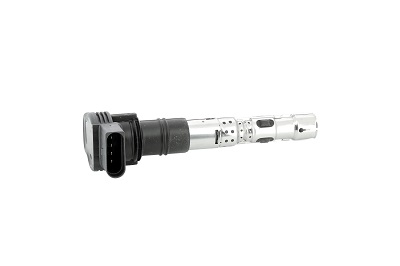 Picture of Ignition Coil - BorgWarner (BERU) - ZSE062