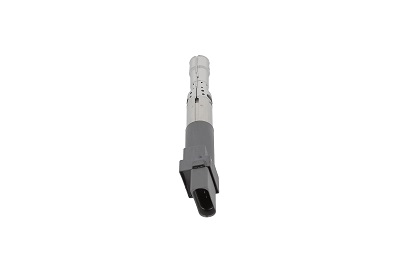 Picture of Ignition Coil - BorgWarner (BERU) - ZSE063