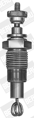 Picture of Glow Plug - BorgWarner (BERU) - GD214