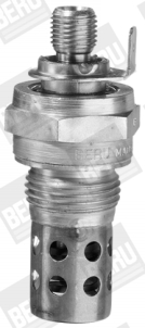 Picture of Glow Plug - BorgWarner (BERU) - GF163