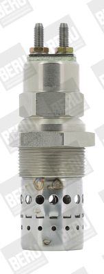 Picture of Glow Plug - BorgWarner (BERU) - GF529