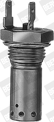 Picture of Glow Plug, parking heater - BorgWarner (BERU) - GH117
