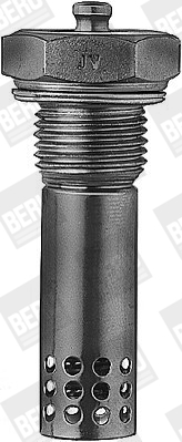 Picture of Glow Plug, parking heater - BorgWarner (BERU) - GH191