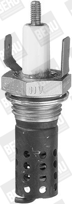 Picture of BorgWarner (BERU) - GH22