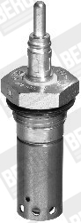 Picture of Glow Plug, parking heater - BorgWarner (BERU) - GH306