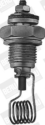 Picture of BorgWarner (BERU) - GH402