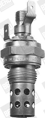 Picture of Glow Plug, parking heater - BorgWarner (BERU) - GH407
