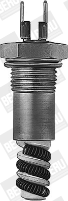 Picture of Glow Plug, parking heater - BorgWarner (BERU) - GH409