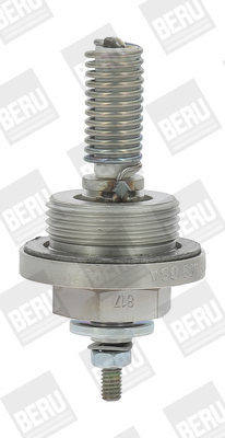 Picture of BorgWarner (BERU) - GHA408