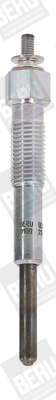 Picture of Glow Plug - BorgWarner (BERU) - GN043