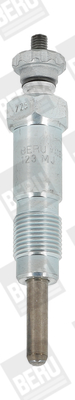 Picture of BorgWarner (BERU) - GV123