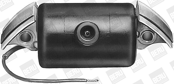 Picture of Ignition Coil - BorgWarner (BERU) - ZA501